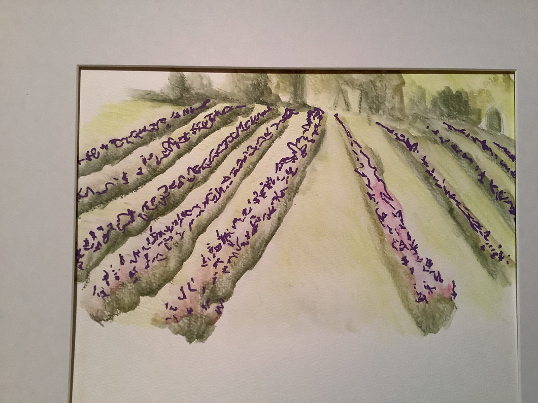 Lavender fields sketch