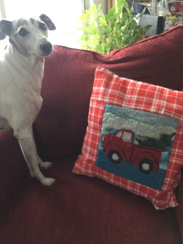 truck with tree pillow